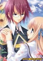 在线观看百合,在线观看百合，邂逅甜蜜爱情故事